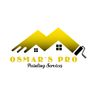 Osmar's pro painting corp