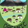 Darts Organic