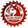Black Husky Remodeling Inc