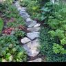 Carlos Elvir Landscaping inc.