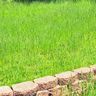 Premium cut Landscaping LLC