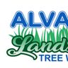 Alvarado’s landscaping